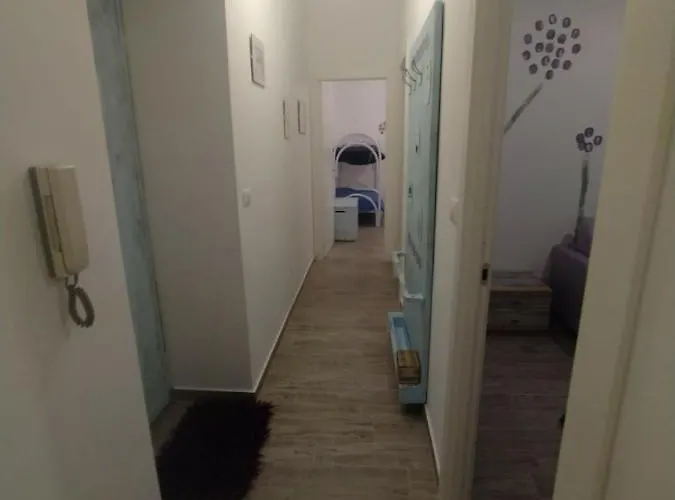 Viola * 피에트라리구레