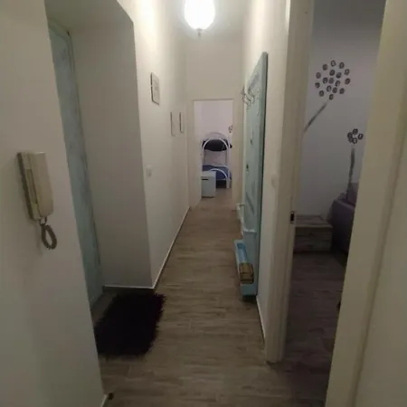 Viola * 皮特拉利古